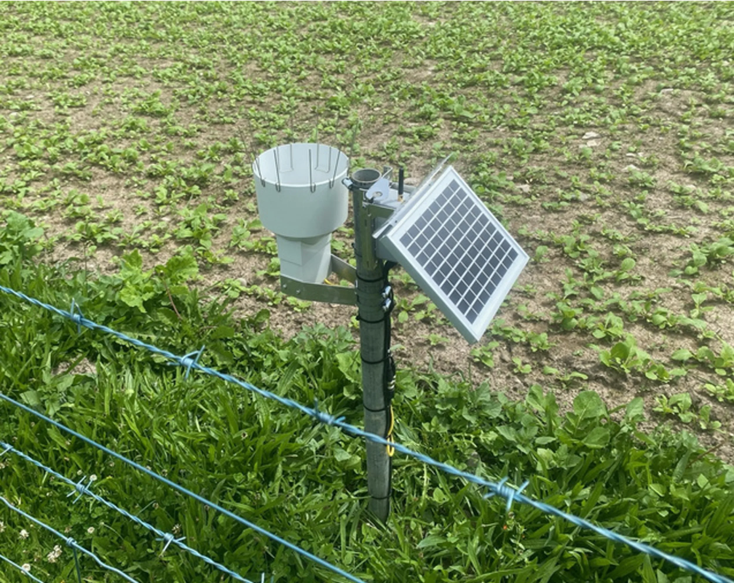 Scott Probe CS