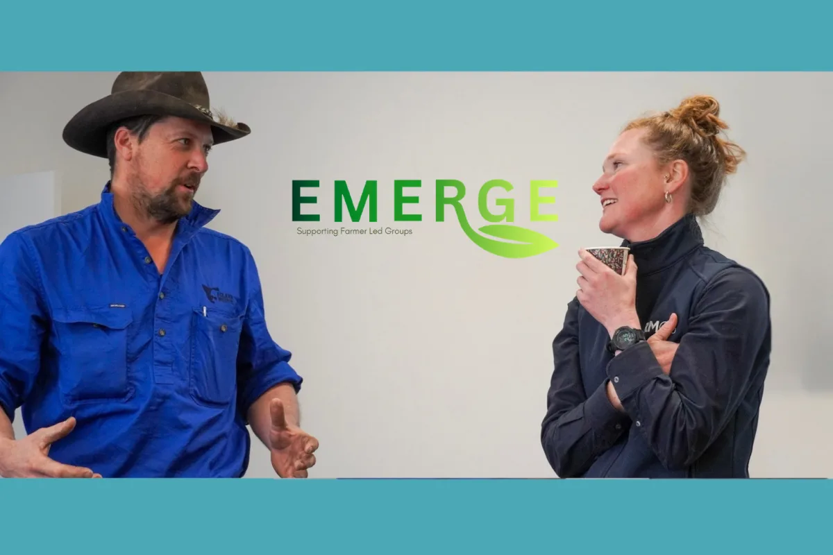 Emerge 1