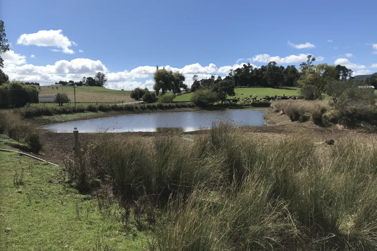 Tamar Dam image