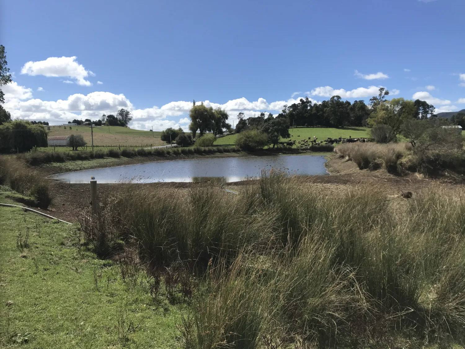 Tamar Dam image