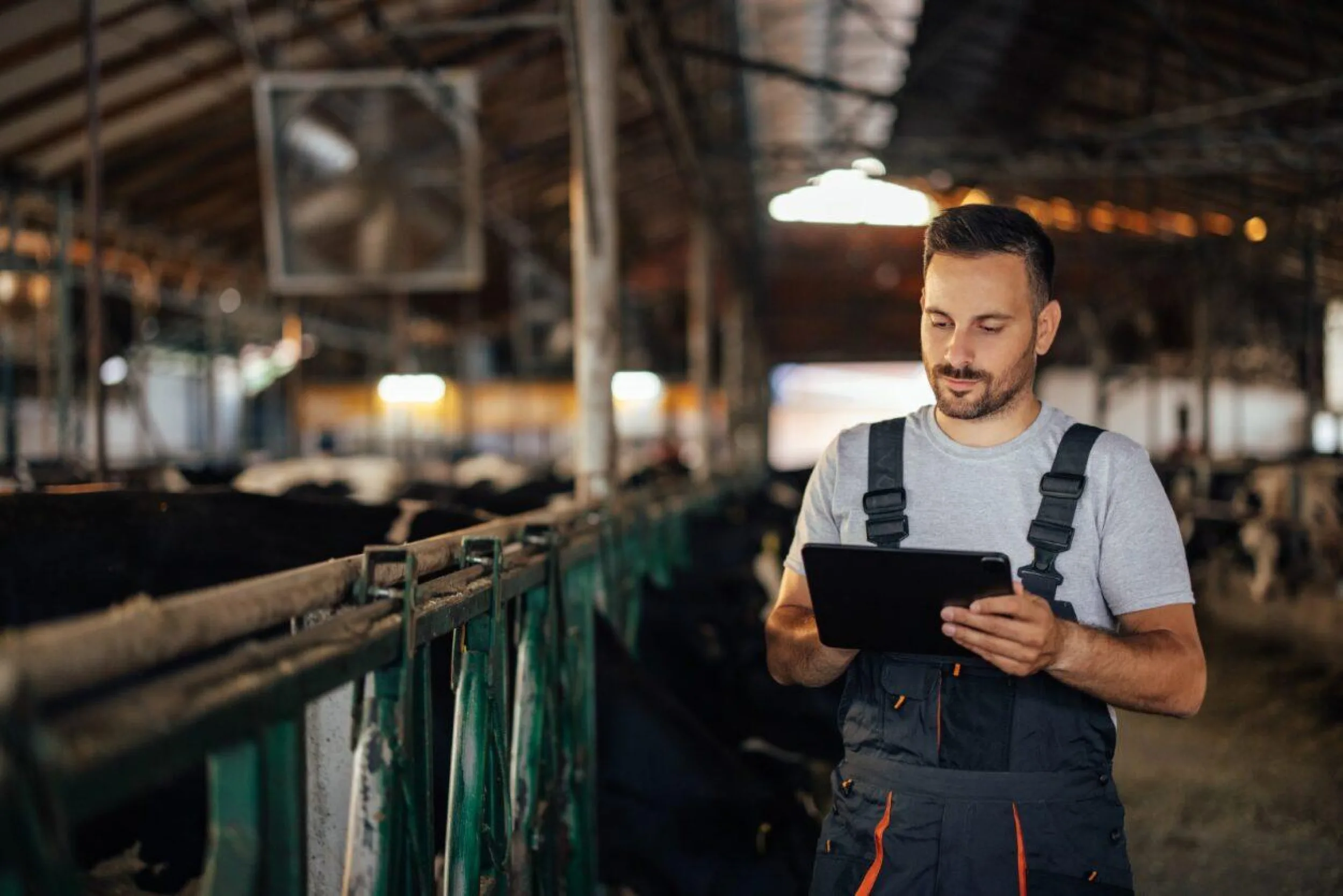 34d51d32 6e80 4b5a a1b6 8f1ec9dfe0dc