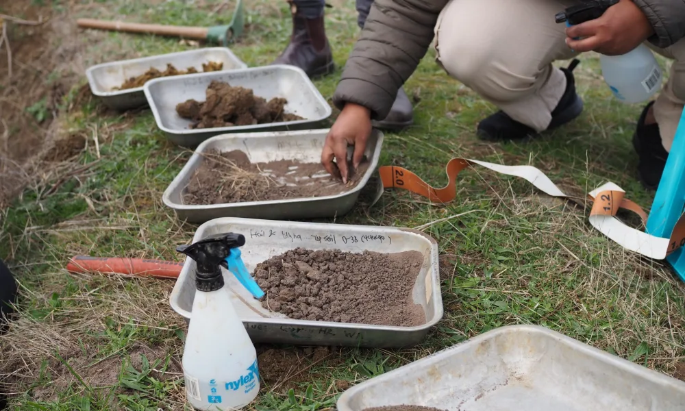 Soil Training Bursary