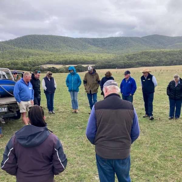 Flinders pasture walk
