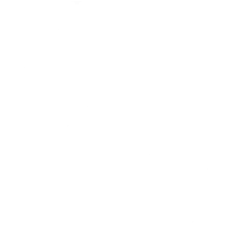 Rubicon30 Brandmark Mono White 768x768