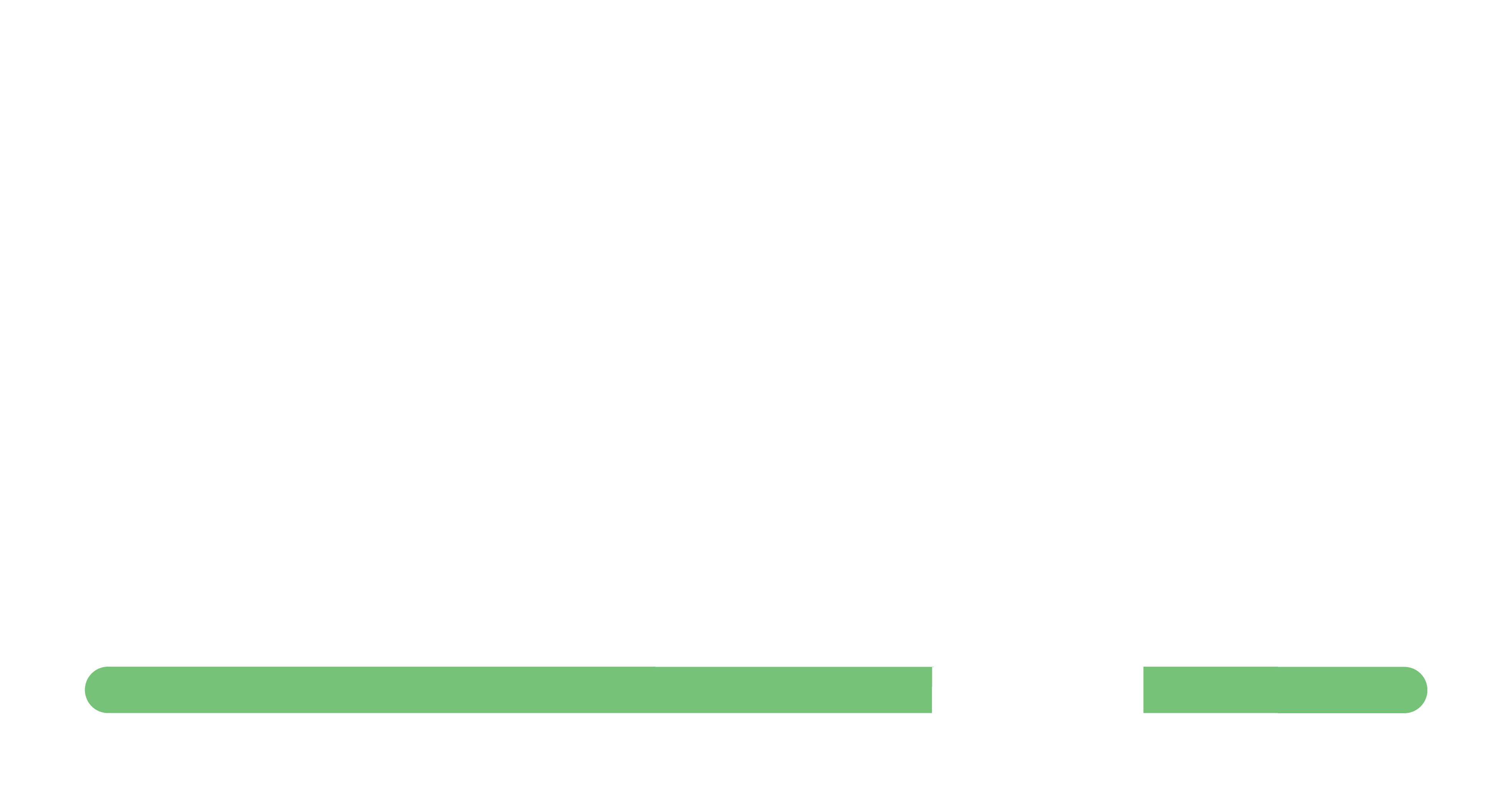 ZELP logo White
