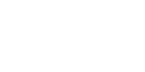 Lyro robotics logo copy