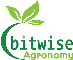 Bitwise logo