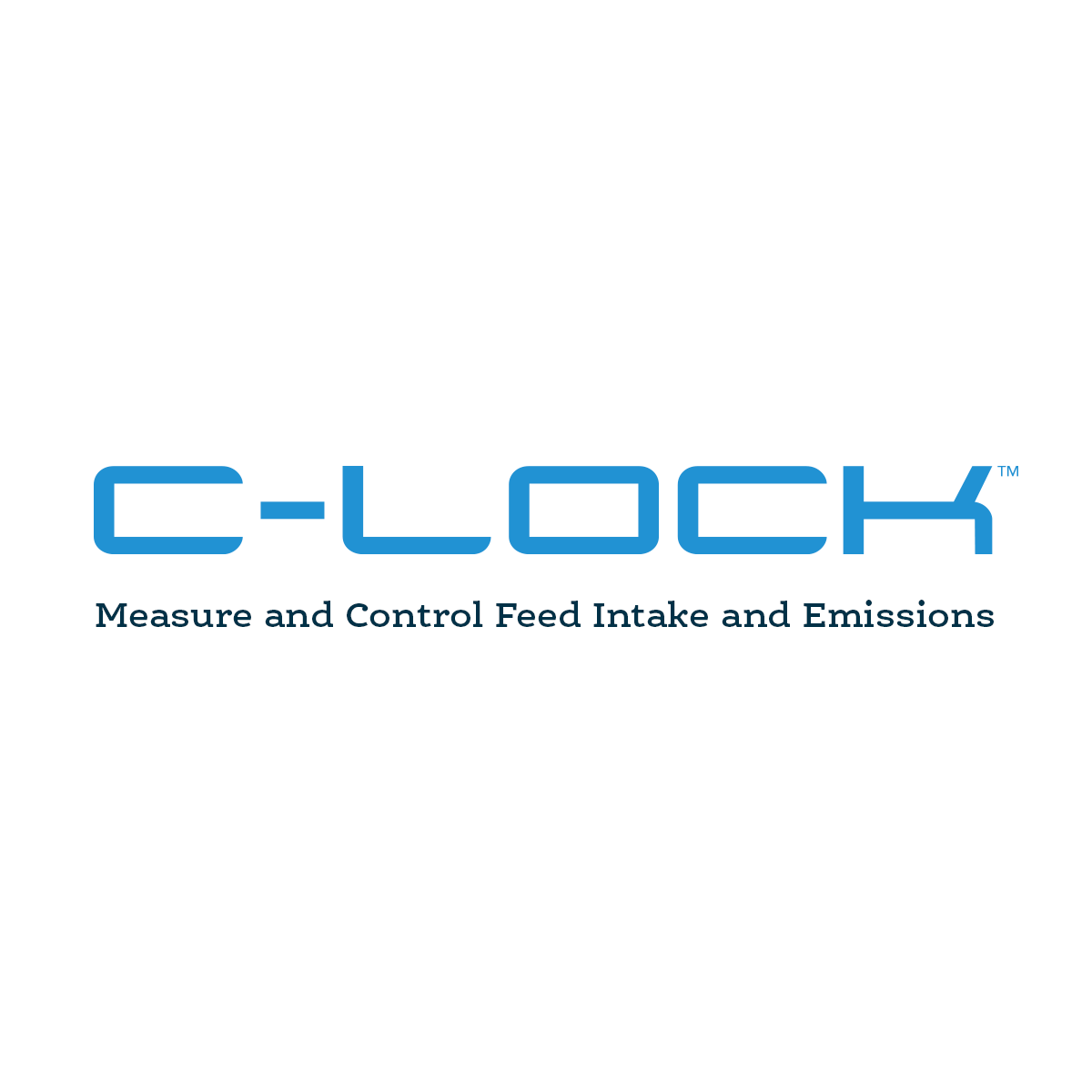 C lock identity logo