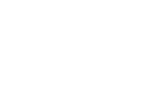 Octodrones logo 300x211