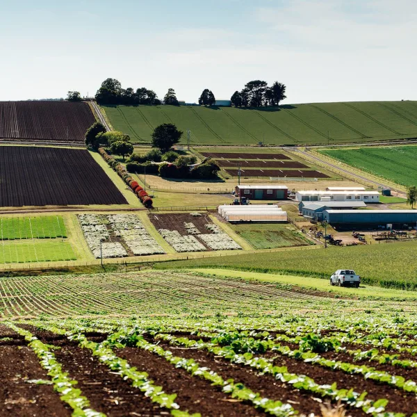 Forthside Vegetable Research Facility 2