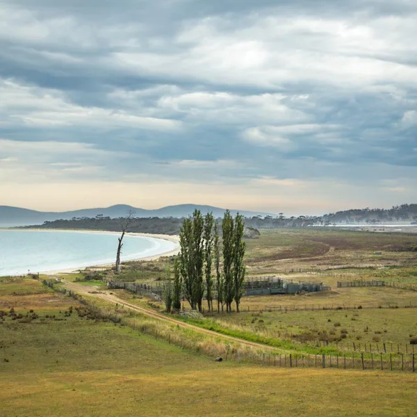 43c369e0 f6de 41f6 8e3c f5a64a6610c5