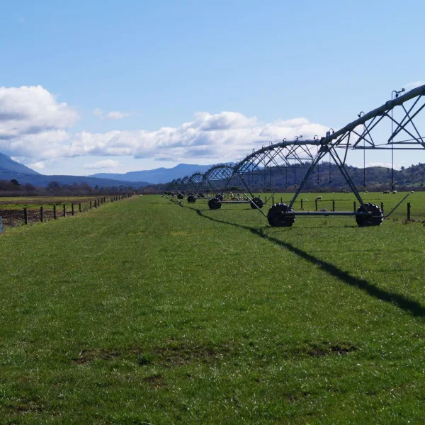 Irrigator image web