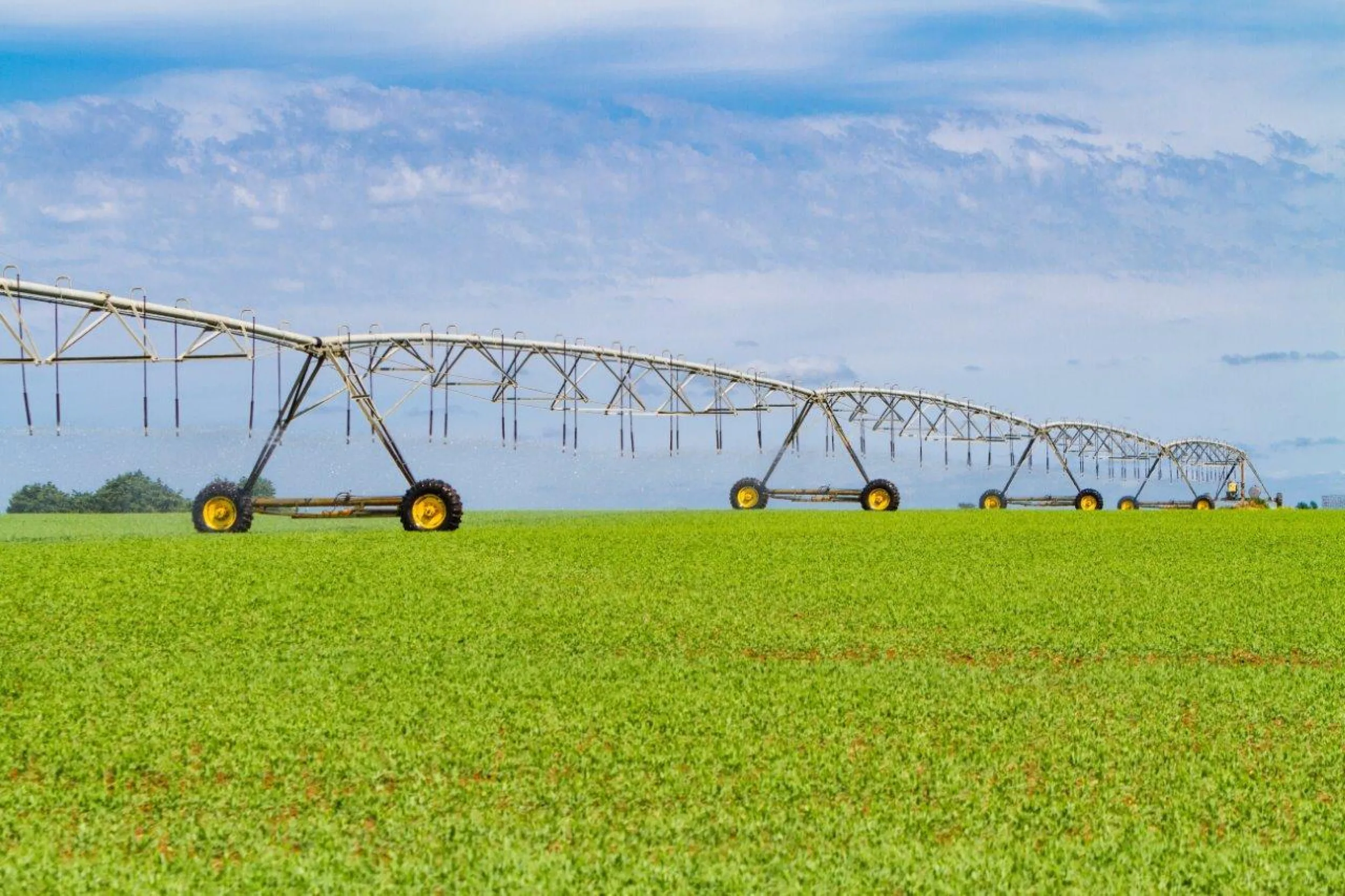 171130 SENSET SHINTON 6954 1