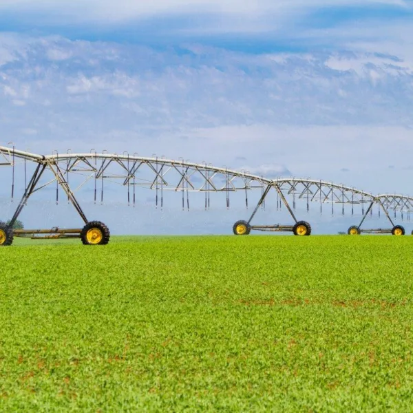 171130 SENSET SHINTON 6954 1