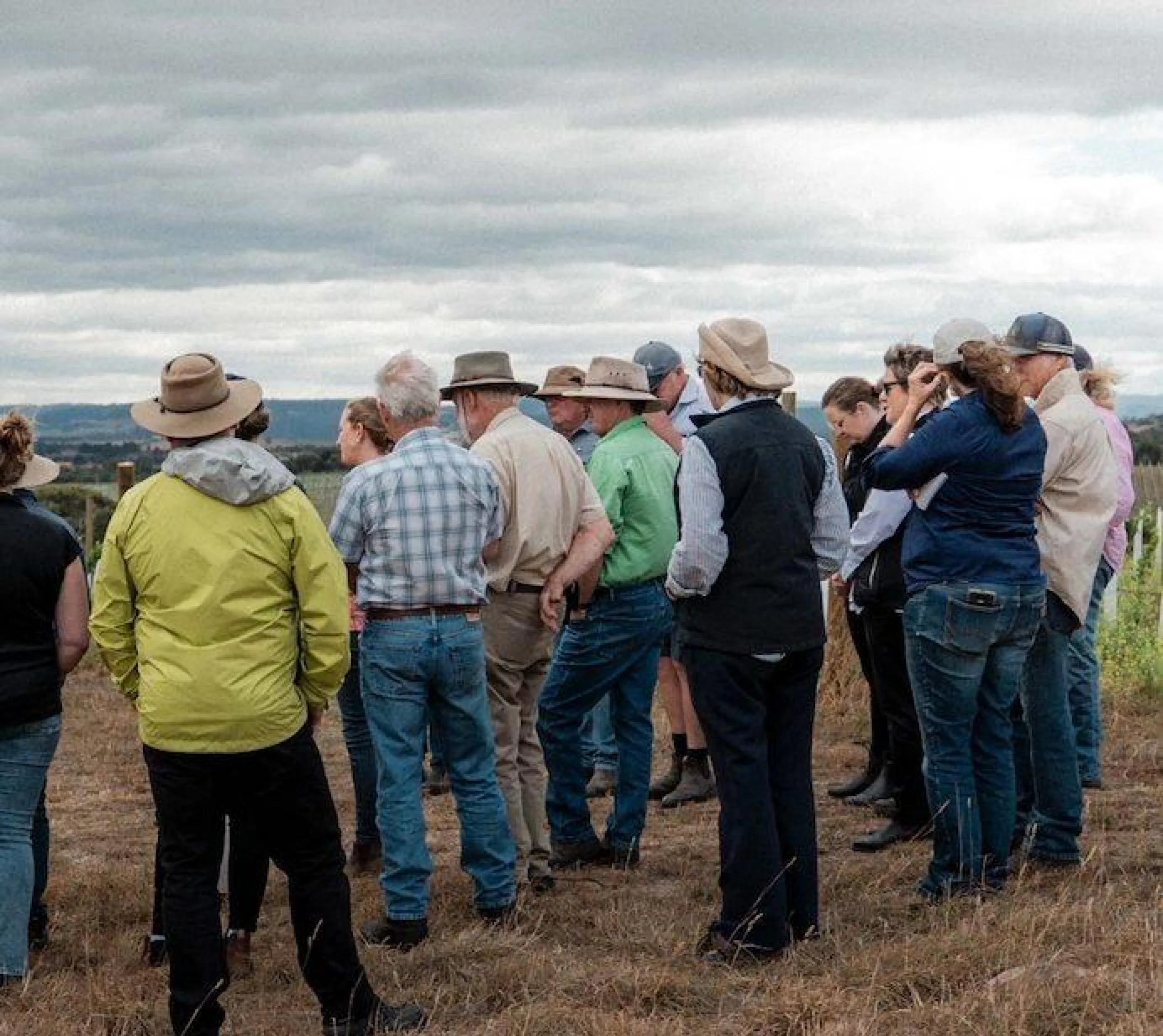 Emerge Flyer Image RMCG