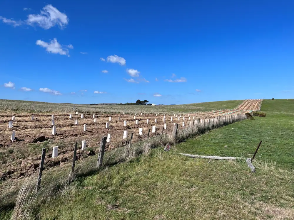 Shelterbelt TLC project Midlands needs credit to Pierre Defourny