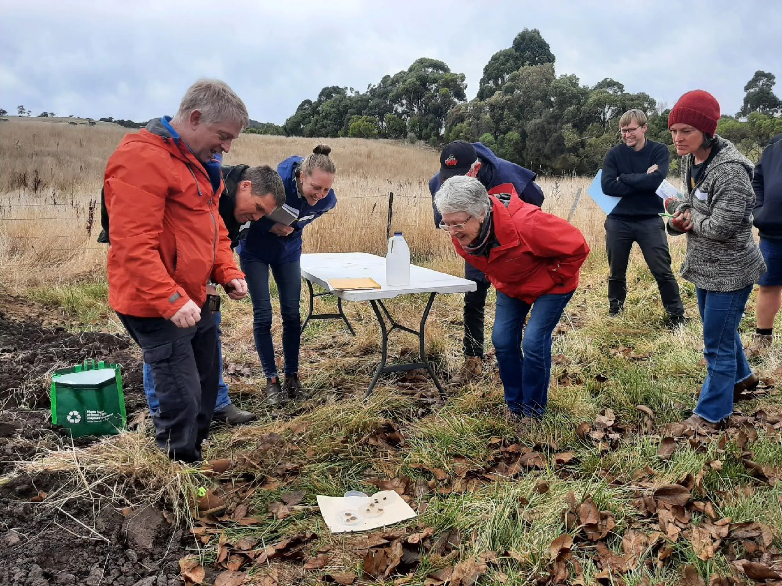 RSC Report Tasmania 1