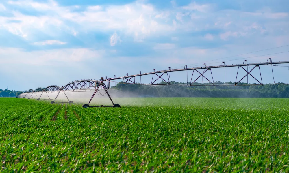 Shutterstock 2565710923