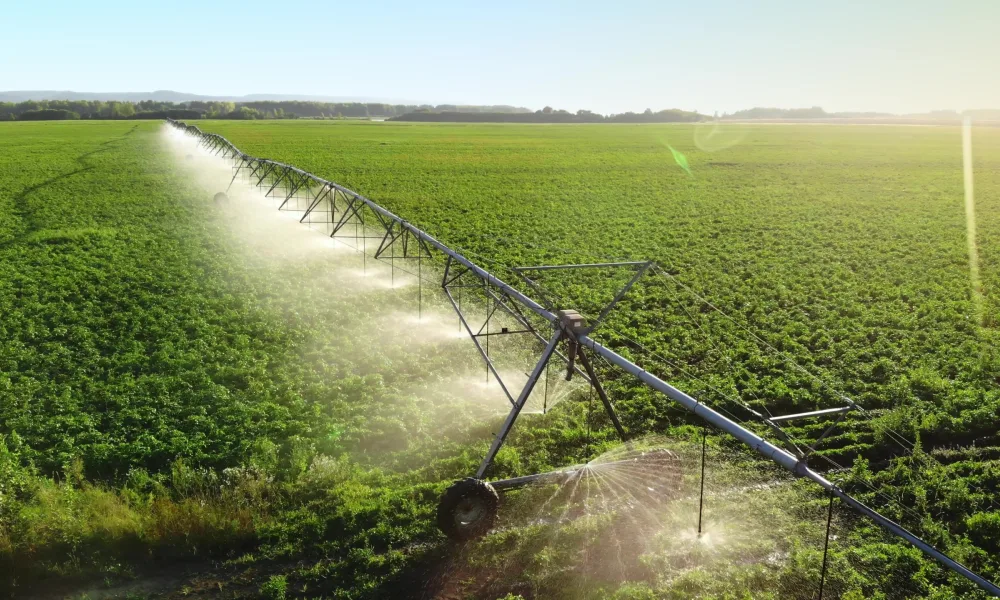 Shutterstock 2256437237