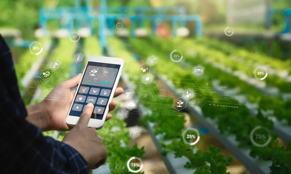 Shutterstock 2439322953