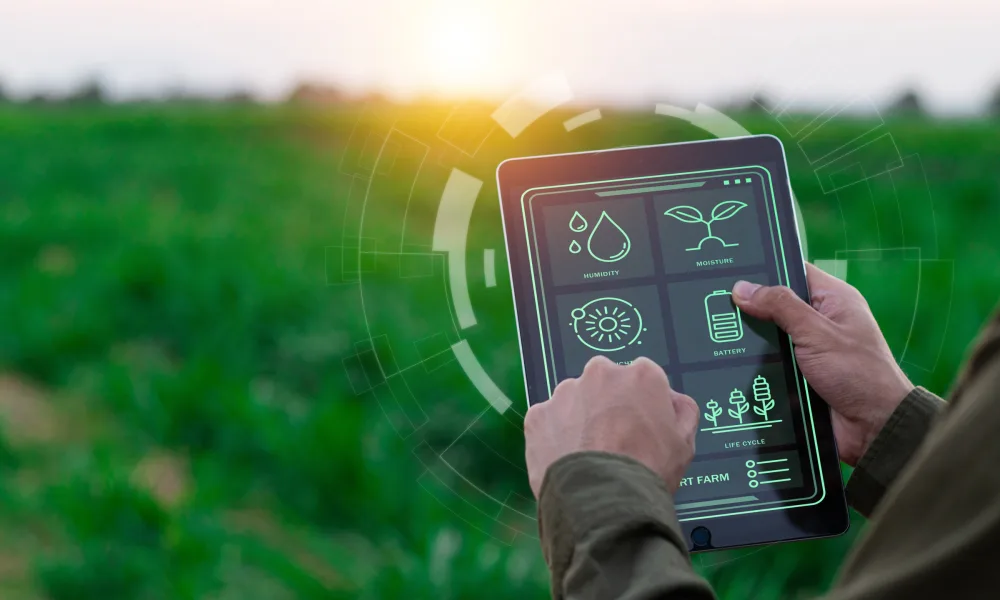 Shutterstock 2456758765