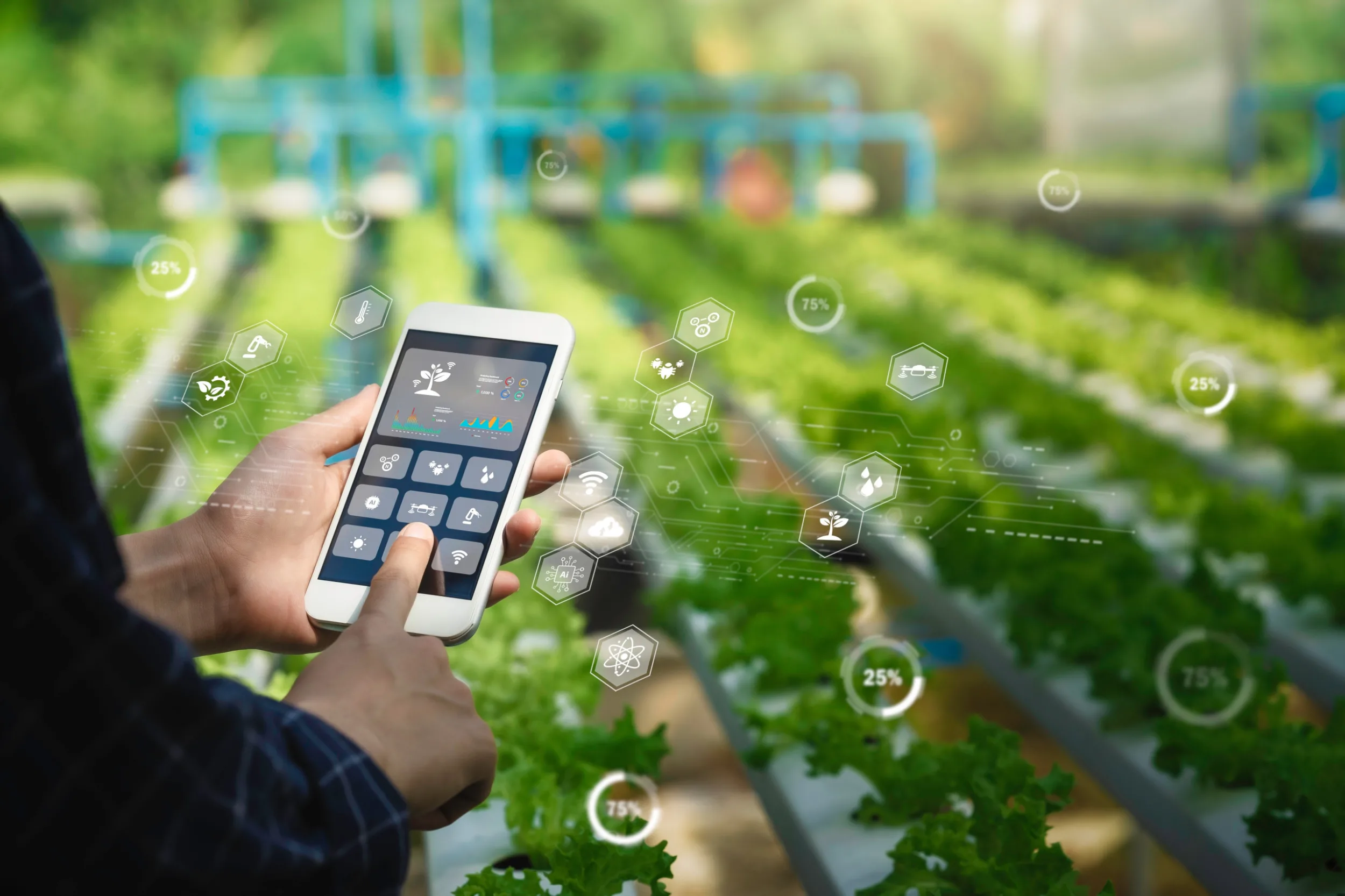 Shutterstock 2439322953