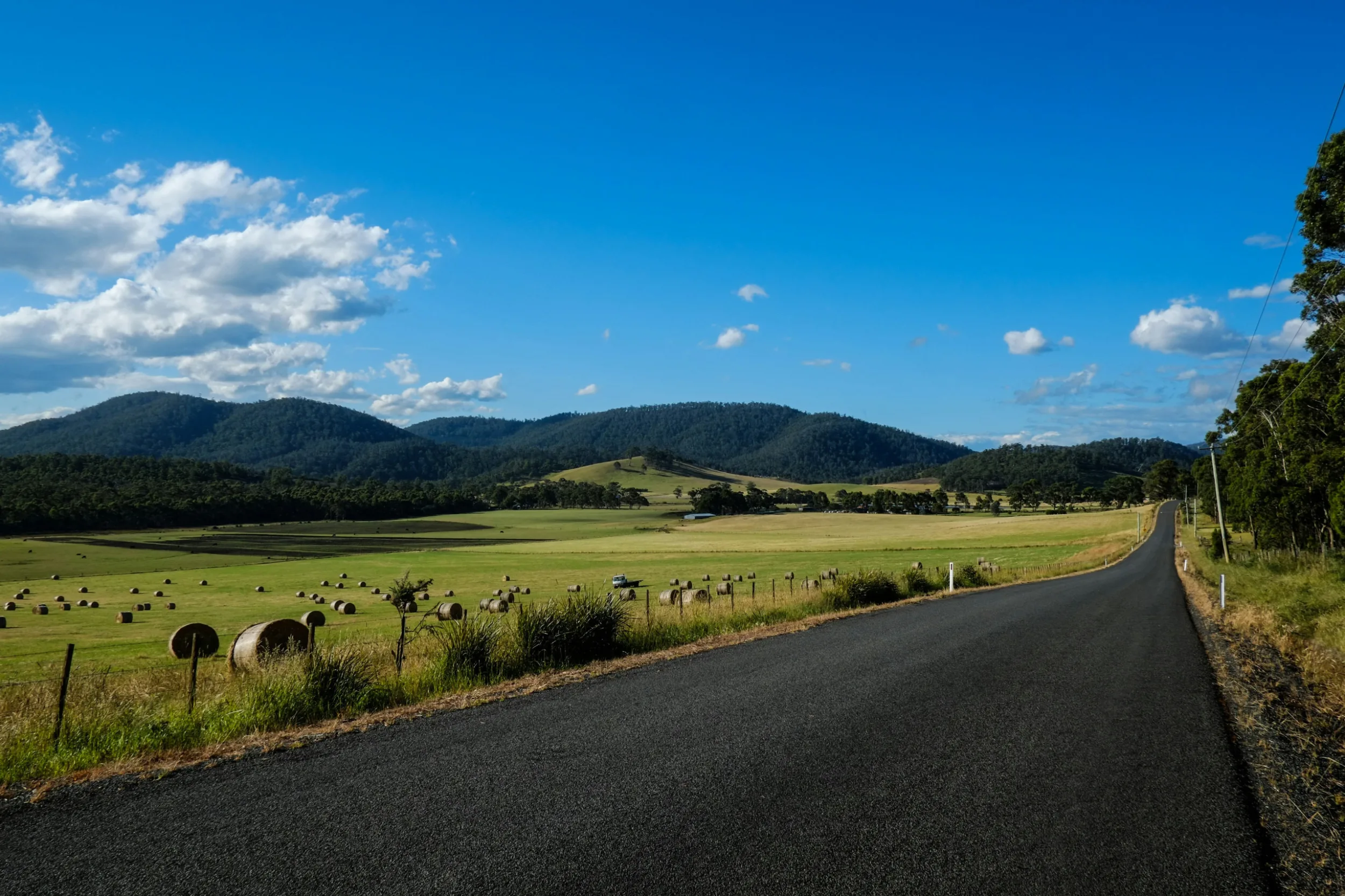 Photo by Patrick McGregor