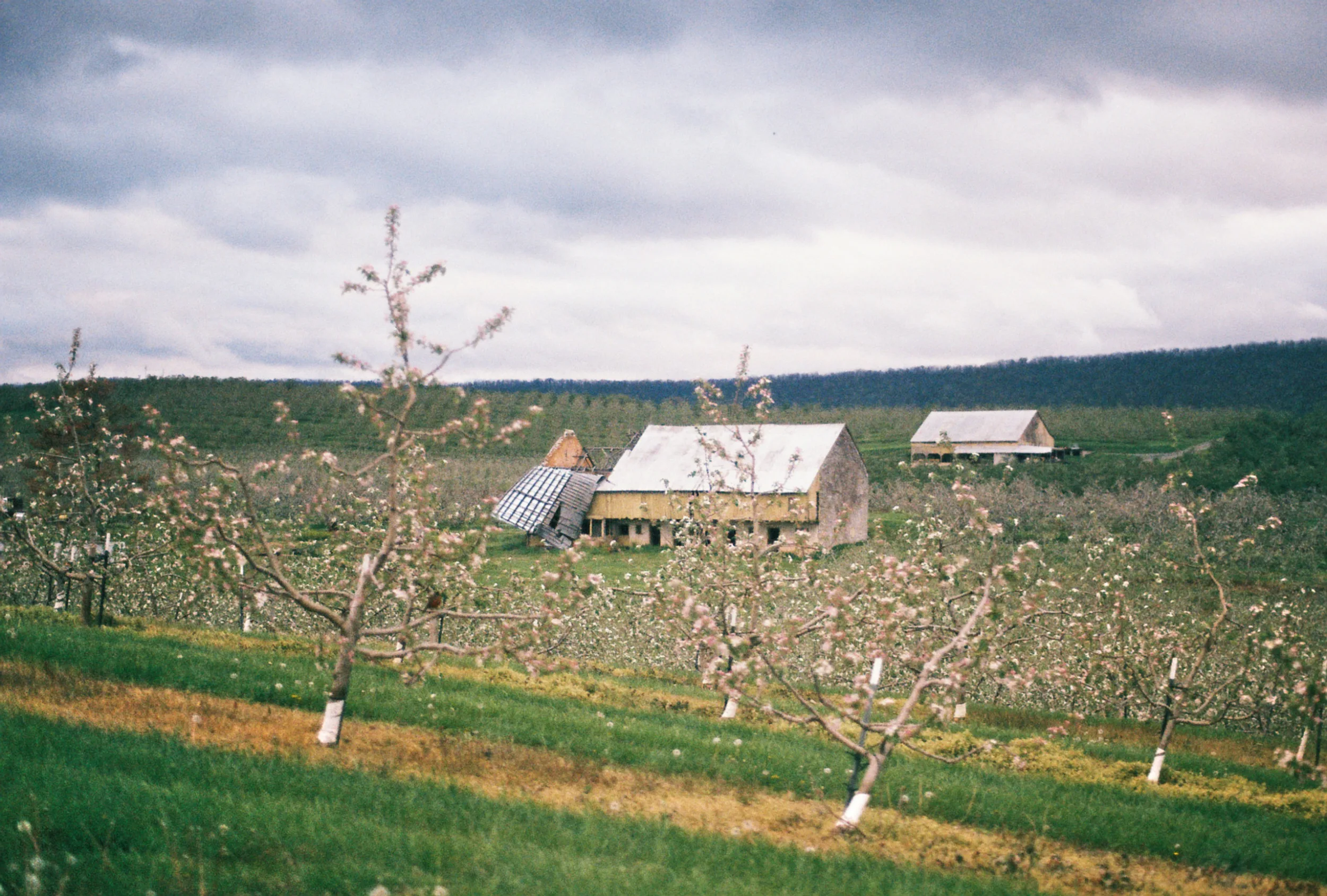 Photo by Jake Kemman